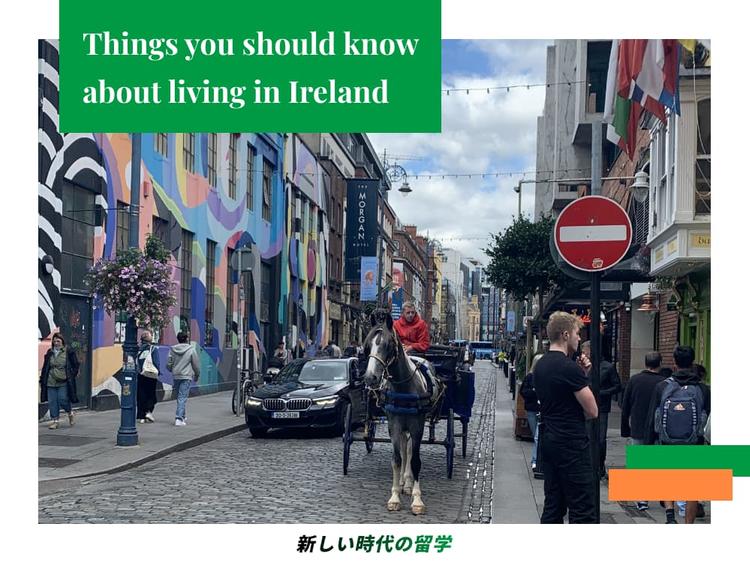 アイルランドの生活について｜生活費、交通機関、レストラン、医療など