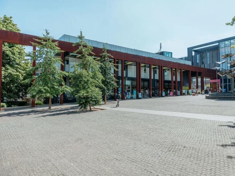 Oxford International College