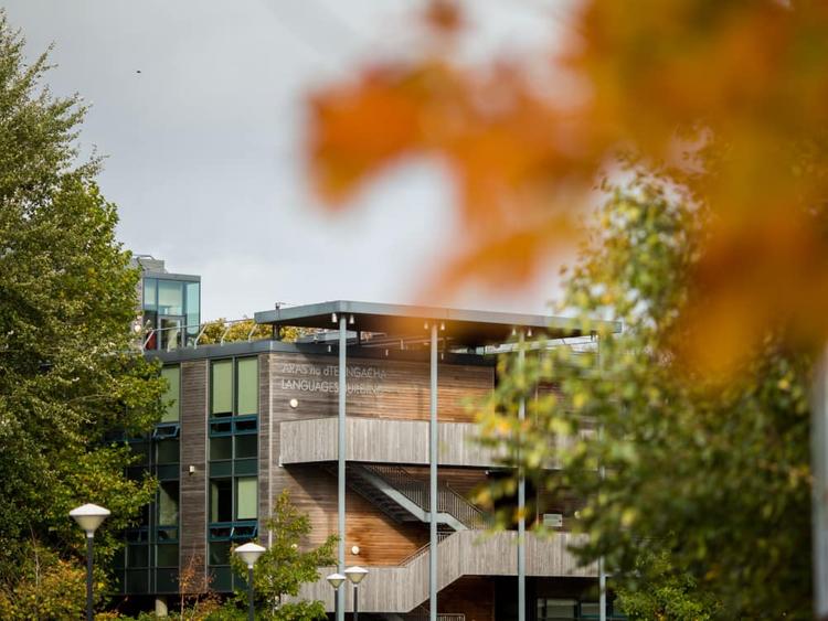 University of Limerick Language Centre|リムリックの語学学校|ランゲージセンター