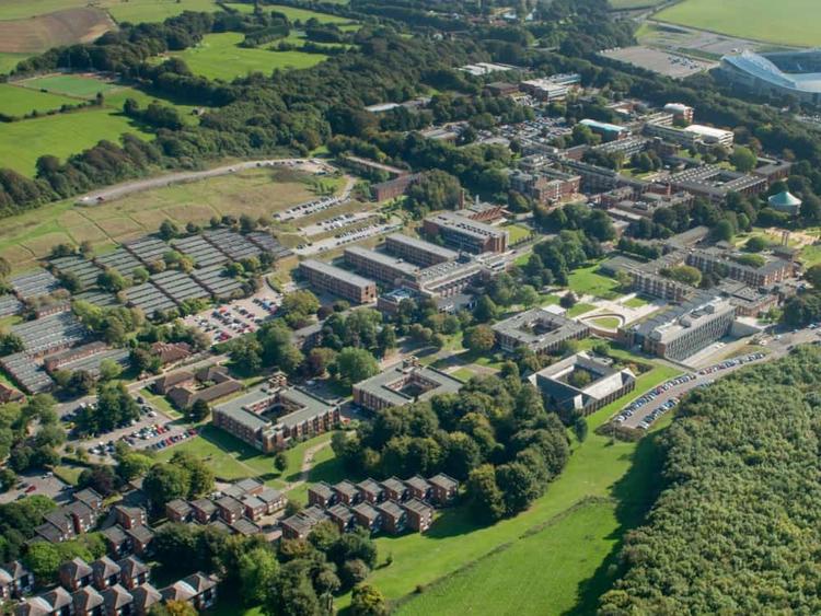 The University of Sussex