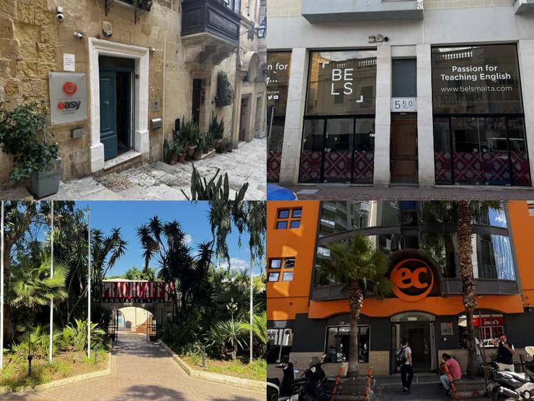 【2026年版】マルタ語学学校おすすめ10選｜各校の特徴や費用まとめ