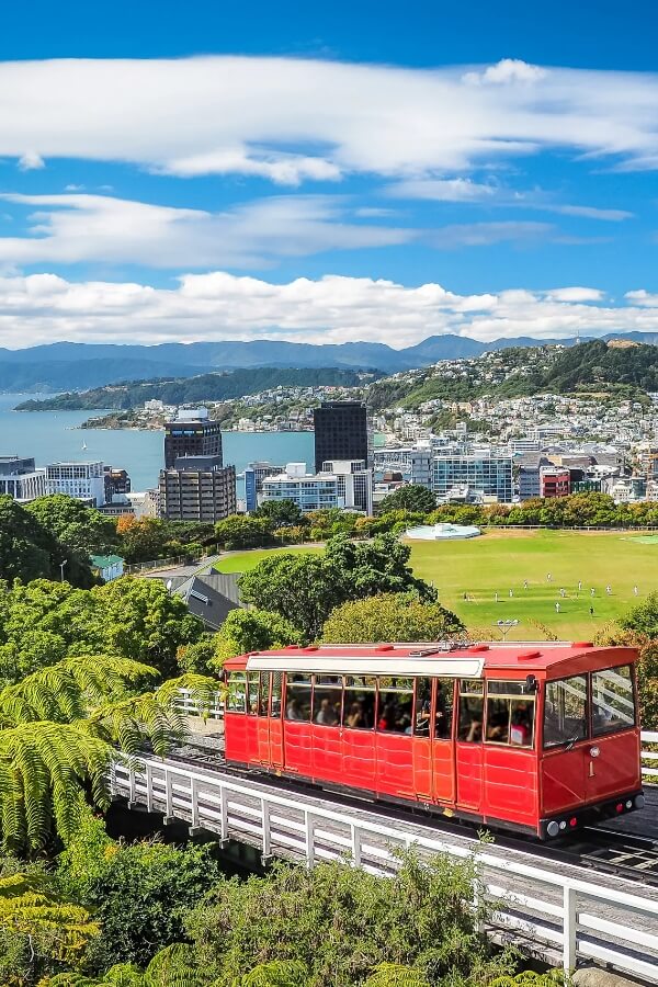 ニュージーランド｜新しい時代の留学で留学できる国